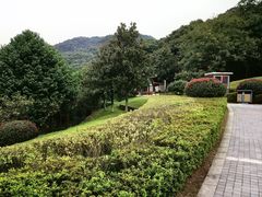-桃花岭景区