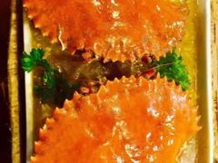 -茉莉.Red Crab