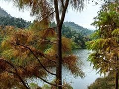 -广州市石门国家森林公园