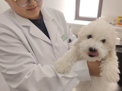 -心仪动物医院·牙专科·肿瘤·心脏科(西客站院)