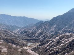 -大岭沟猕猴桃谷风景区