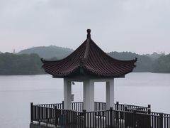 -大塘金香草谷