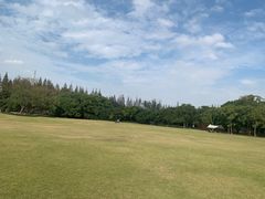 -上海滨江森林公园