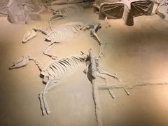 -洛阳周王城天子驾六博物馆