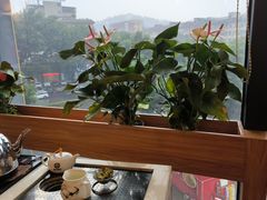 -粤点越有·茶点·粤菜(樵岭国际店)