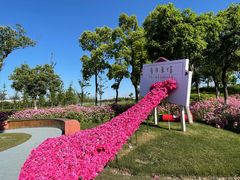 -春花秋色城市公园