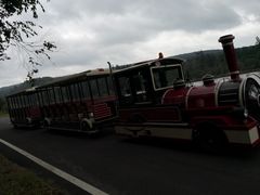 -五营红松林海景区