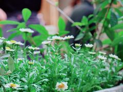 门面-RAC BAR(安福路店)