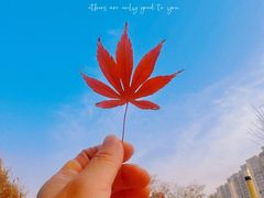 -中国工商银行(北京清河镇支行)