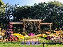 -上海共青森林公园