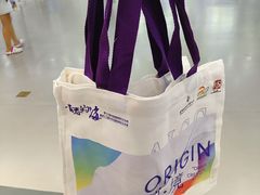 -中国宋庆龄青少年科技文化交流中心