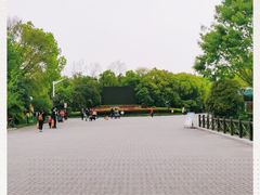 -上海海湾国家森林公园