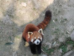 -西安秦岭野生动物园