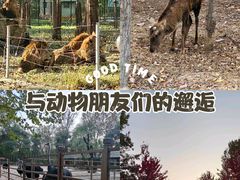 -秦皇岛野生动物园