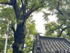 -青岛崂山太清宫