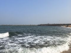 -日照海滨国家森林公园