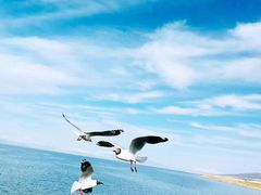 -青海湖二郎剑景区