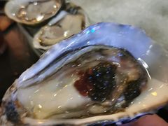 -普朗姆生蚝吧(原建国路店)