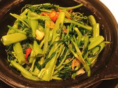 桑巴酱虾米啫空心菜-港丽餐厅(高德置地店)