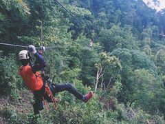 -清迈丛林飞跃 JungleFlight