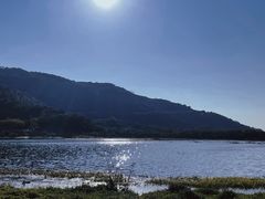 -风云岭森林公园
