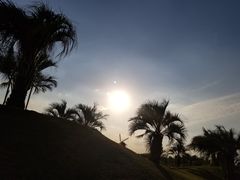 -南通洲际绿博园