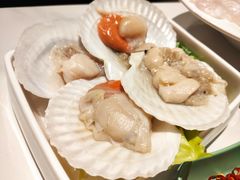 -肥佬大椰子鸡(三里屯3·3大厦店)