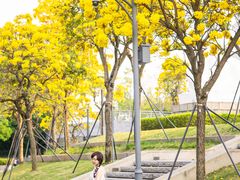 -人民公园(罗湖区)