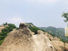 -大岭沟猕猴桃谷风景区