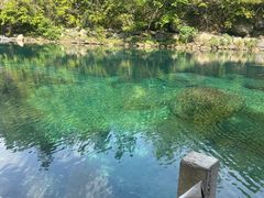 -石台牯牛降景区