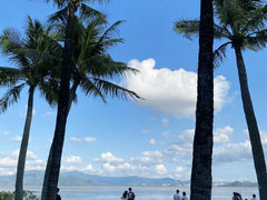 -深圳湾公园(南山区)