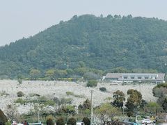 -树山生态村