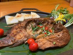 -老滇山寨•云南特色菜•地方菜•民族风情歌舞表演(金碧店)