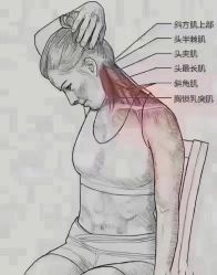 -香薇妮丝女子减肥院