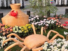 -上海共青森林公园