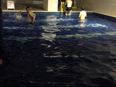 -太湖湾开元名庭大酒店