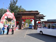 -北海金海湾红树林生态旅游区