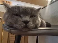 -Me Coffee下午茶艺术空间