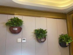 -木北护肤造型