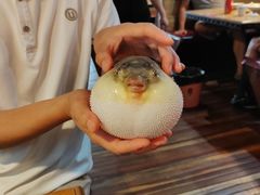 -永安鱼庄·镇江菜(丁卯店)