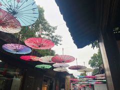 -天目湖山水园