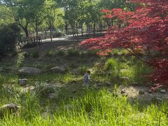 -嘉北郊野公园