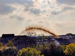 -云和夜泊酒店·中餐厅