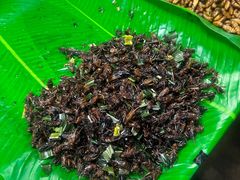 -席娜卡琳火车铁道夜市