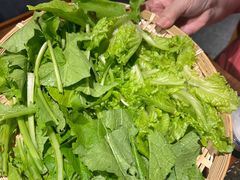 -老熊家·野生菌·生态农场餐厅