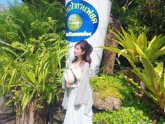 -绿光森林餐厅