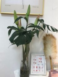 -UN·桃喜日系美睫美甲