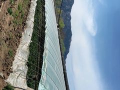 -大自然农场蔬菜草莓采摘园