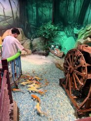 -酷嗒动物文化乐园(cutezoo西溪乐天城店)