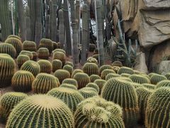 -南山植物园